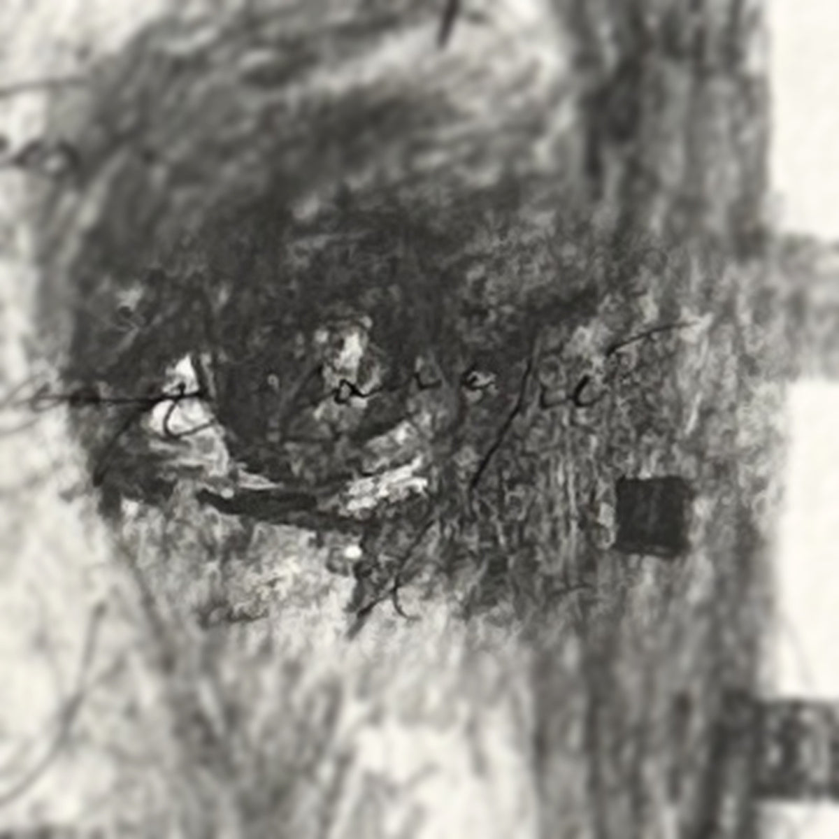 Lettre Intime #1 – macro du trait de crayon