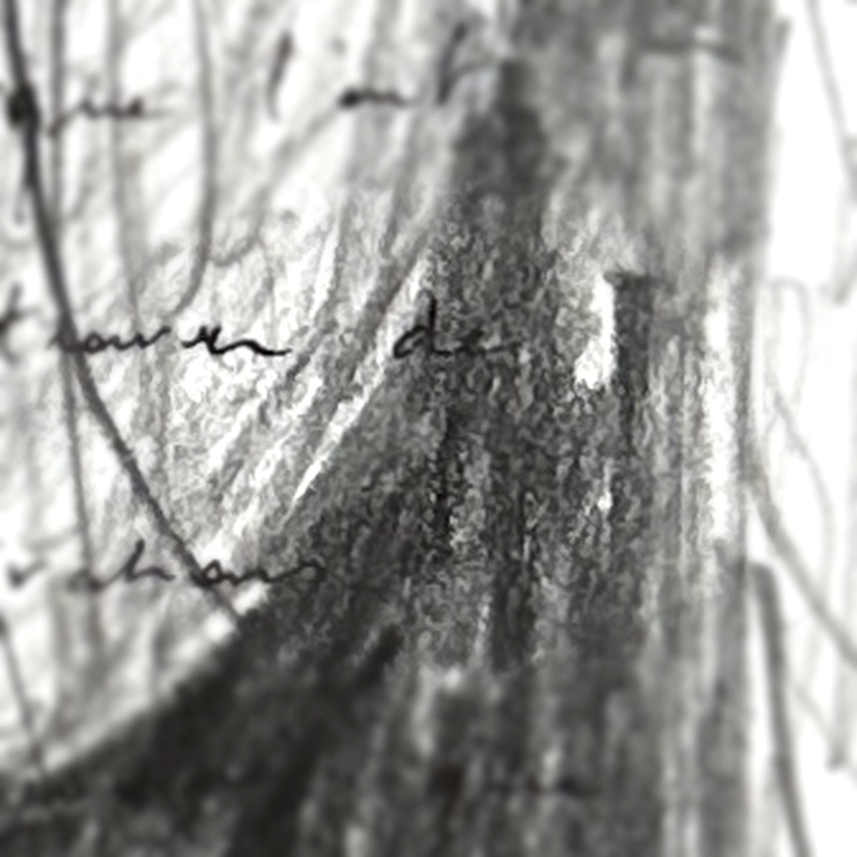 Lettre Intime #12 – macro du trait de crayon