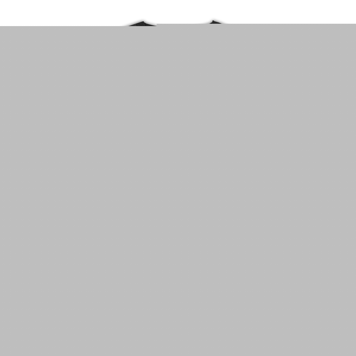 L'AÉRIEN - 10/50 - face_1